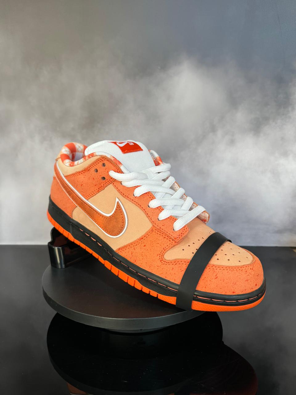 Dunk Low SB Lobster